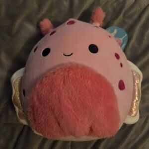 🆕️Squishmallows Shabnam Sea Slug Plush